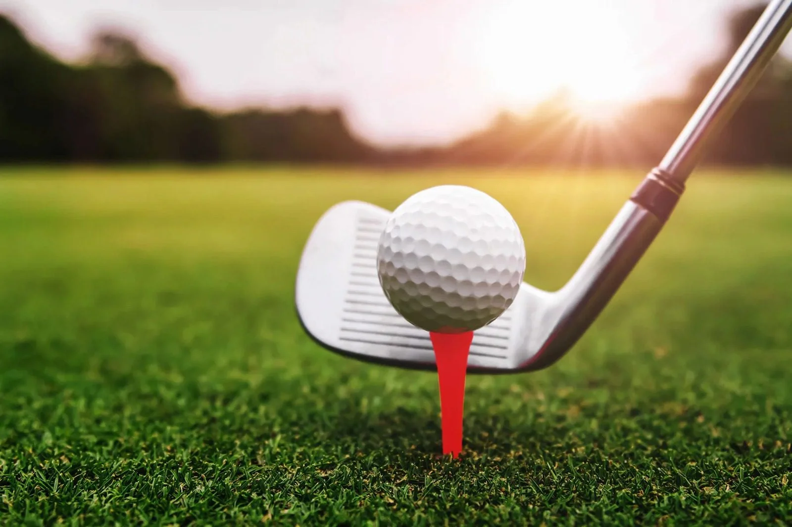 Ana James Gill tops leaderboard on opening day of 15th Royal Palm Team Trophy