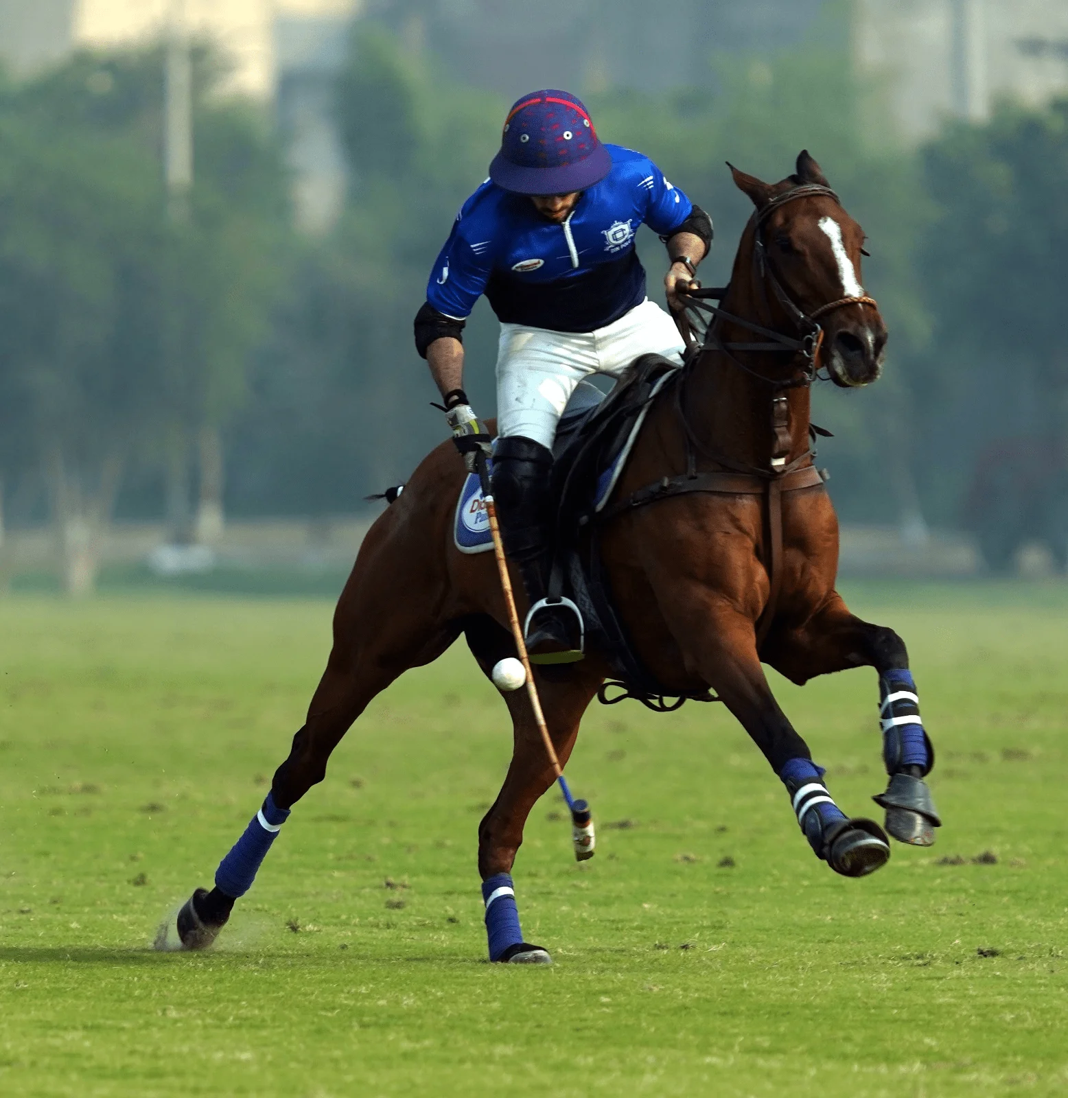 Diamond Paints/Din and Balochistan win 11th Battle Axe Polo Cup 2025 openers